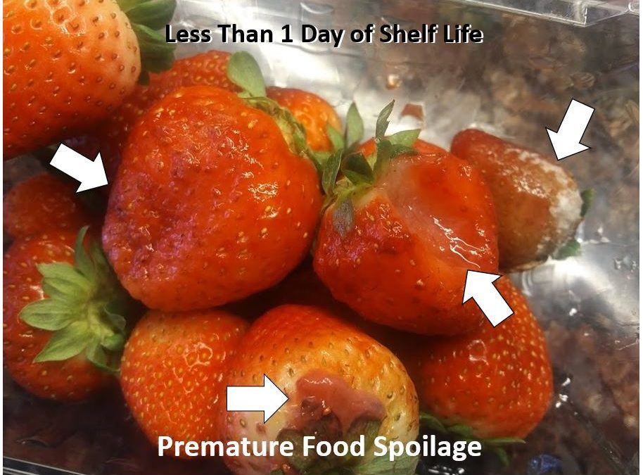 Food Spoilage The Impact On Your Business Zest Labs